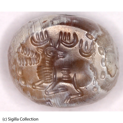 Sasanian Seals Stag