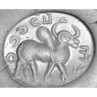Sasanian Seals Hump bull