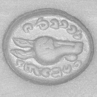 Sasanian Seals Head of wild ass