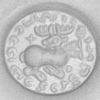 Sasanian Seals Stag
