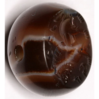 Sasanian Seals Lion
