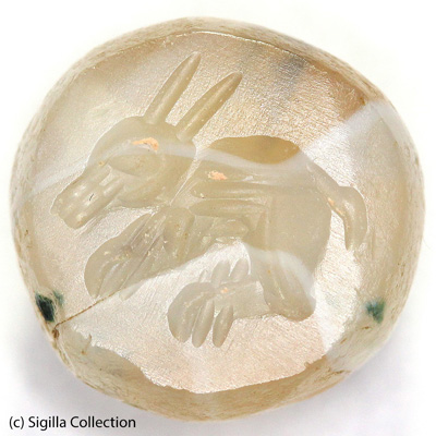 Sasanian Seals Hare