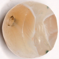 Sasanian Seals Hare