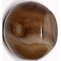 Sasanian Seals Man