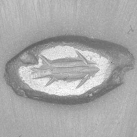 Sasanian Seals Fish