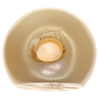 Sasanian Seals Rail