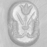 Sasanian Seals Flower