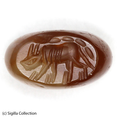 Sasanian Seals Wolf