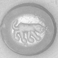 Sasanian Seals Tiger