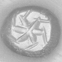 Sasanian Seals Star