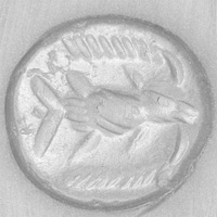 Sasanian Seals Fish