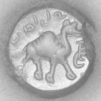 Sasanian Seals Camel