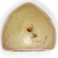 Sasanian Seals Male bust