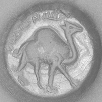 Sasanian Seals Camel