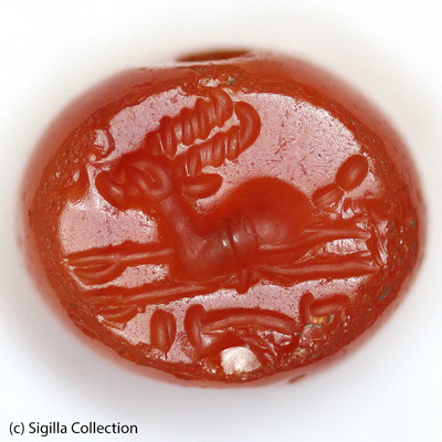 Sasanian Seals Antelope