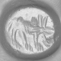 Sasanian Seals Wolf